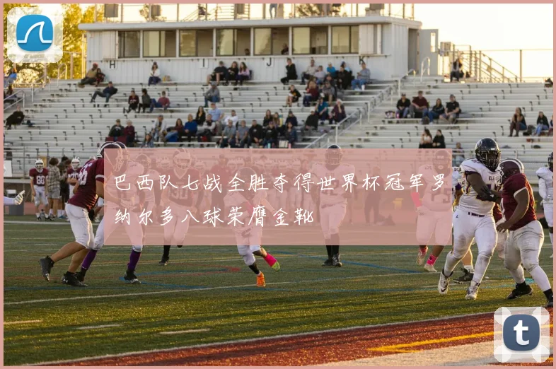 巴西队七战全胜夺得世界杯冠军罗纳尔多八球荣膺金靴