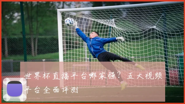 世界杯直播平台哪家强？五大视频平台全面评测