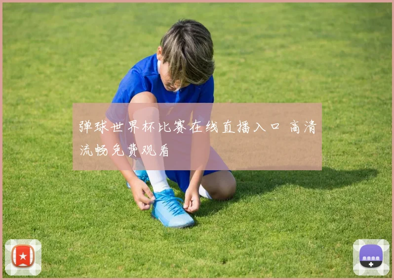 弹球世界杯比赛在线直播入口 高清流畅免费观看