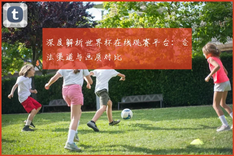 深度解析世界杯在线观赛平台：合法渠道与画质对比
