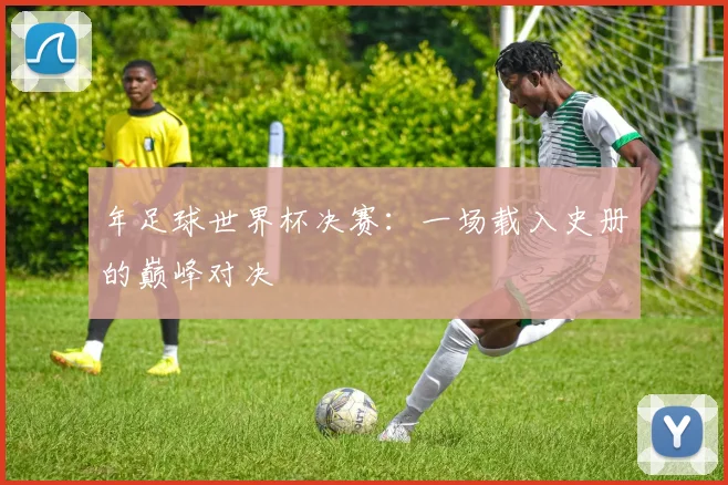 年足球世界杯决赛：一场载入史册的巅峰对决