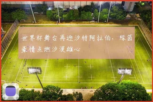 世界杯舞台再迎沙特阿拉伯，绿茵豪情点燃沙漠雄心