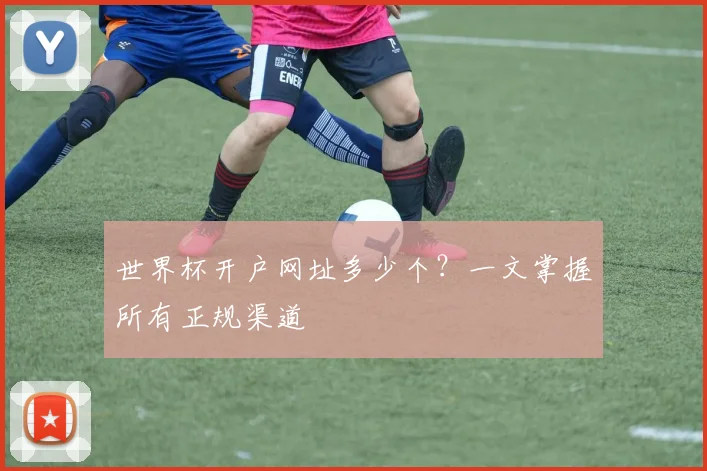世界杯开户网址多少个？一文掌握所有正规渠道