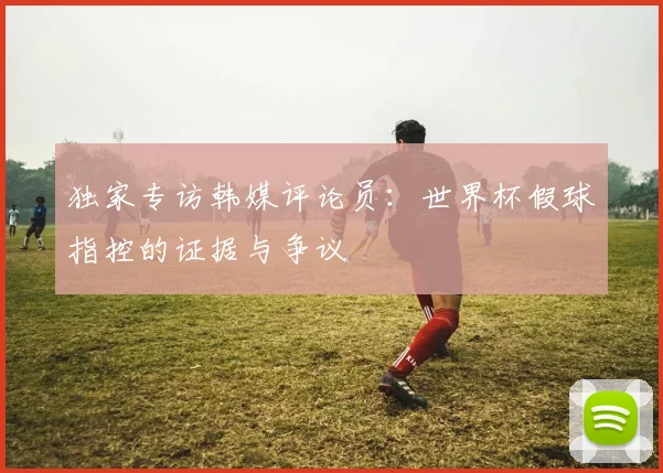 独家专访韩媒评论员：世界杯假球指控的证据与争议