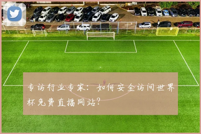 专访行业专家：如何安全访问世界杯免费直播网站？