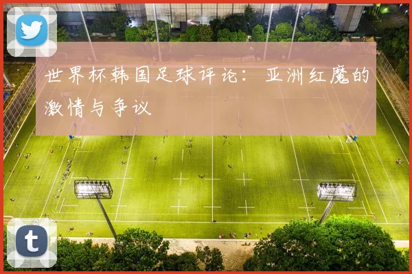 世界杯韩国足球评论：亚洲红魔的激情与争议