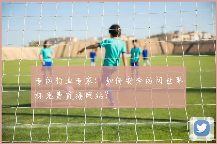 专访行业专家：如何安全访问世界杯免费直播网站？