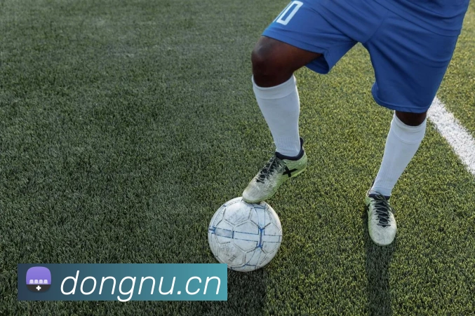 App Interface Preview